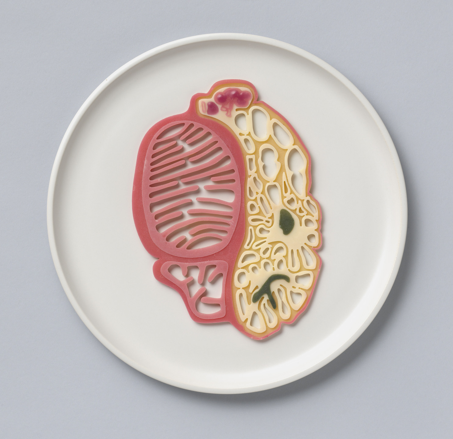 James King, Design Interactions Department, Royal College of Art. Dressing the Meat of Tomorrow (Model). 2006