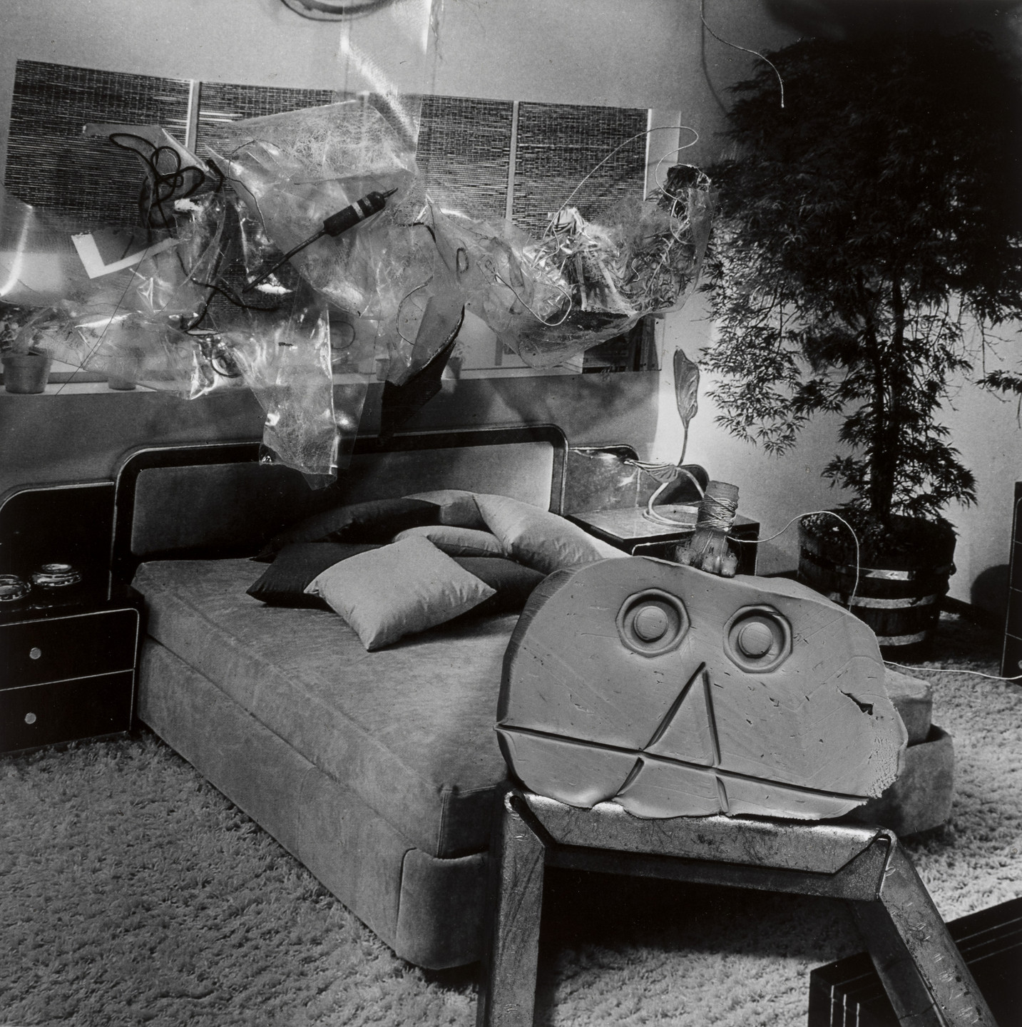Tom Drahos. Metamorphosis. 1980