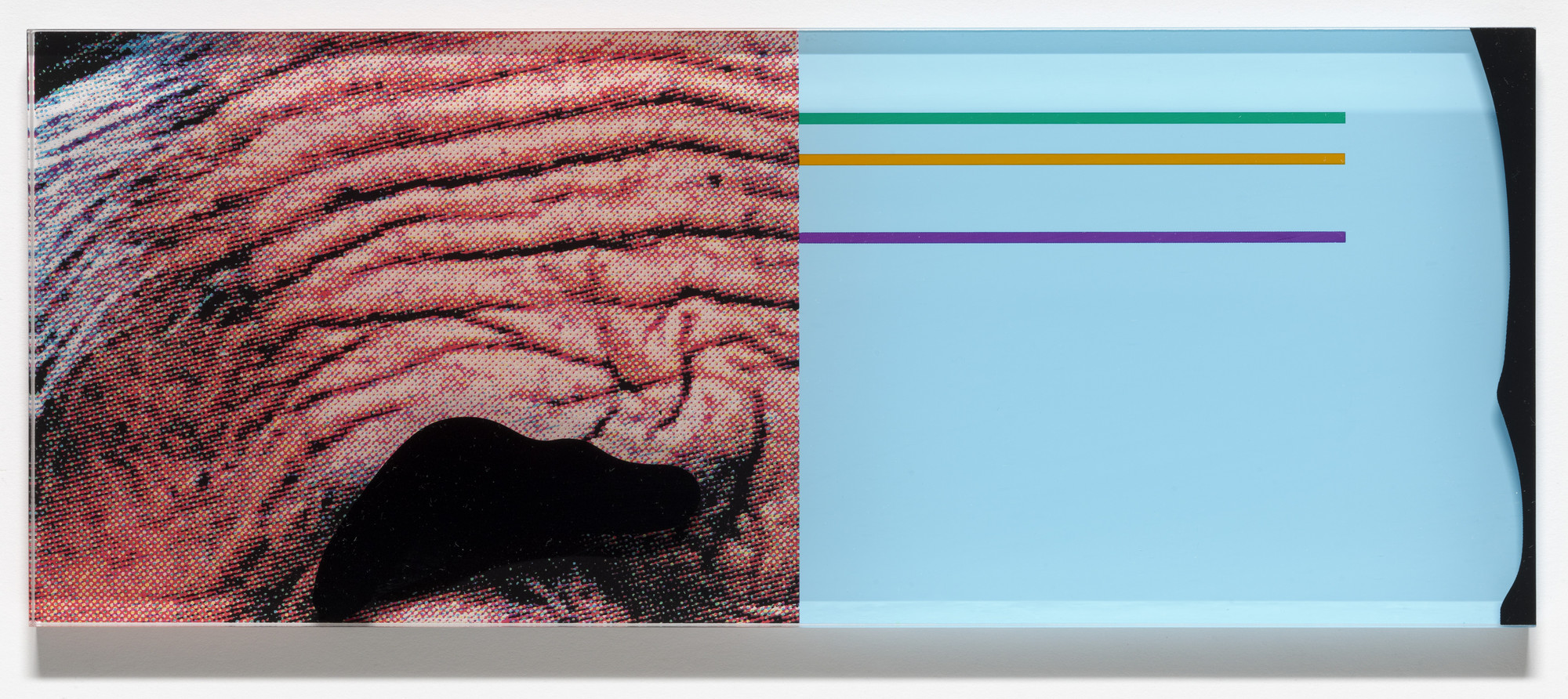 John Baldessari. Raised Eyebrows/Furrowed Foreheads: Crooked Made Straight (for Parkett no. 86). 2009