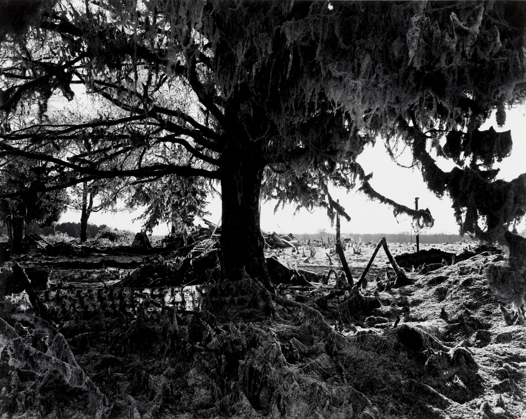 John McWilliams. Alabama. January 18, 1975