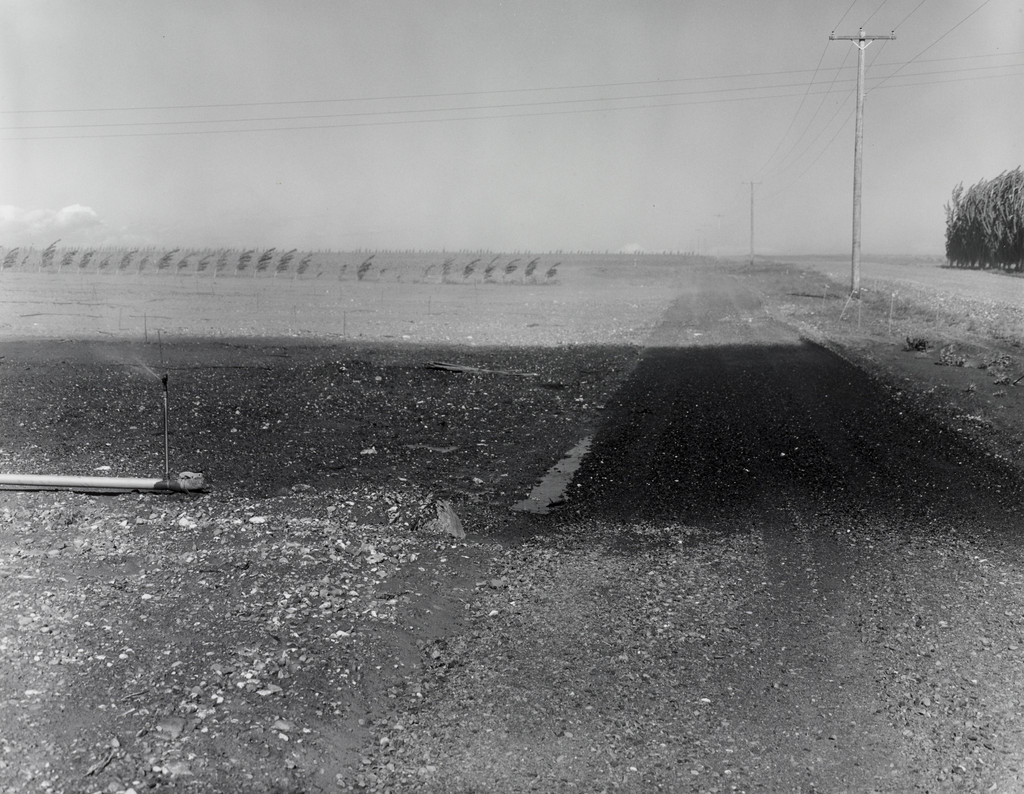 New Orchard under Handline Irrigation, Mattawa, Washington