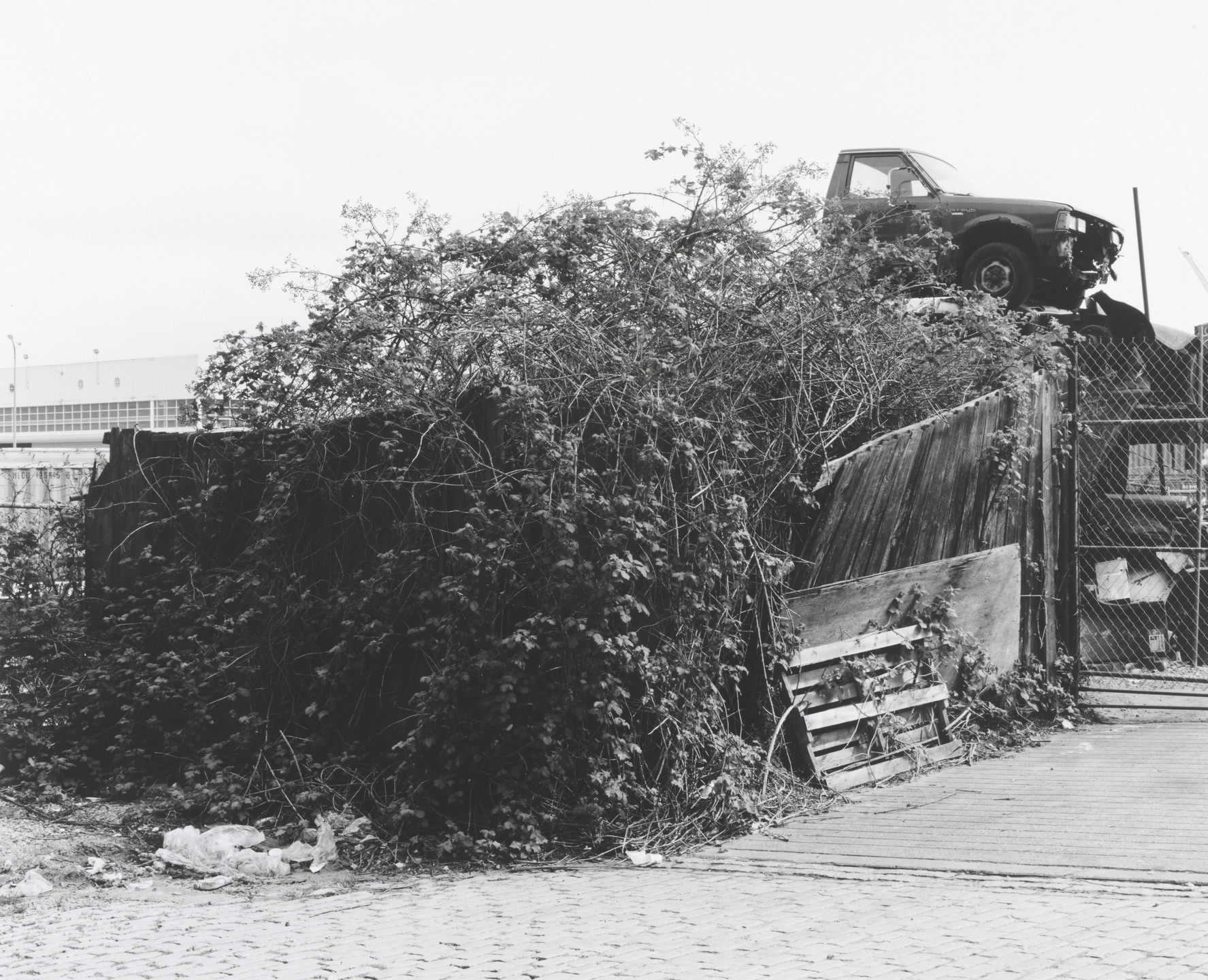 Roy Arden. Terminal City. 1999