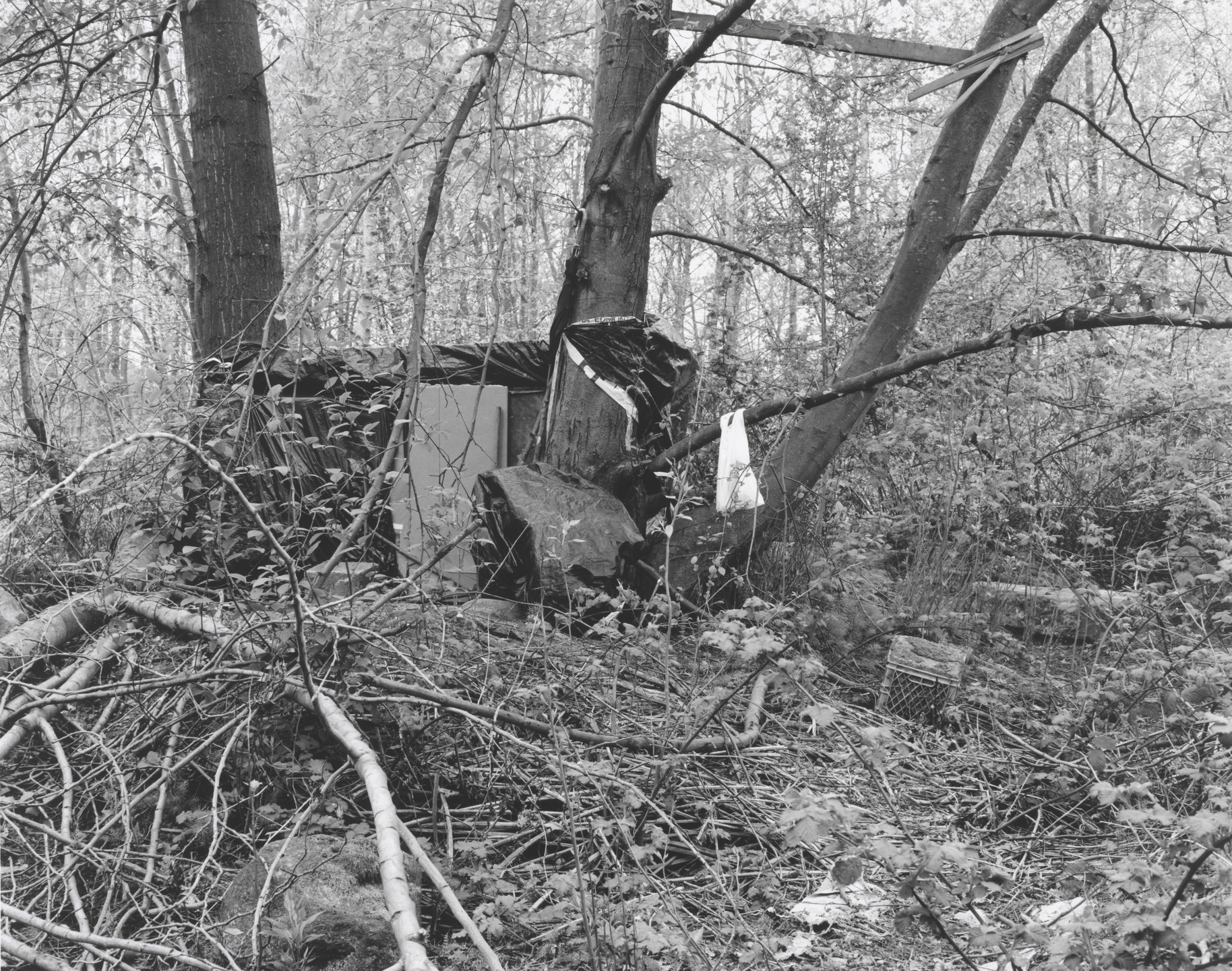 Roy Arden. Terminal City. 1999