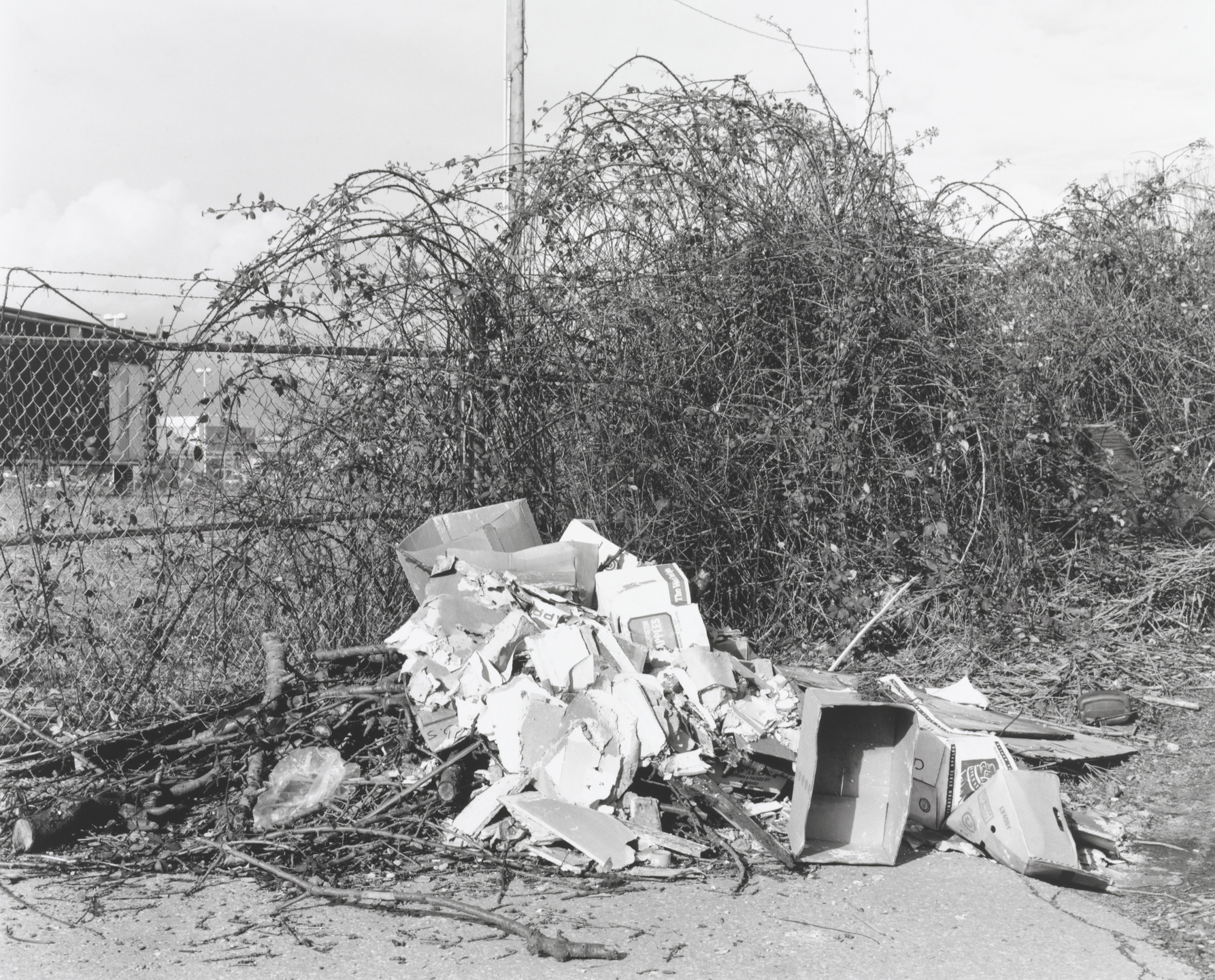 Roy Arden. Terminal City. 1999