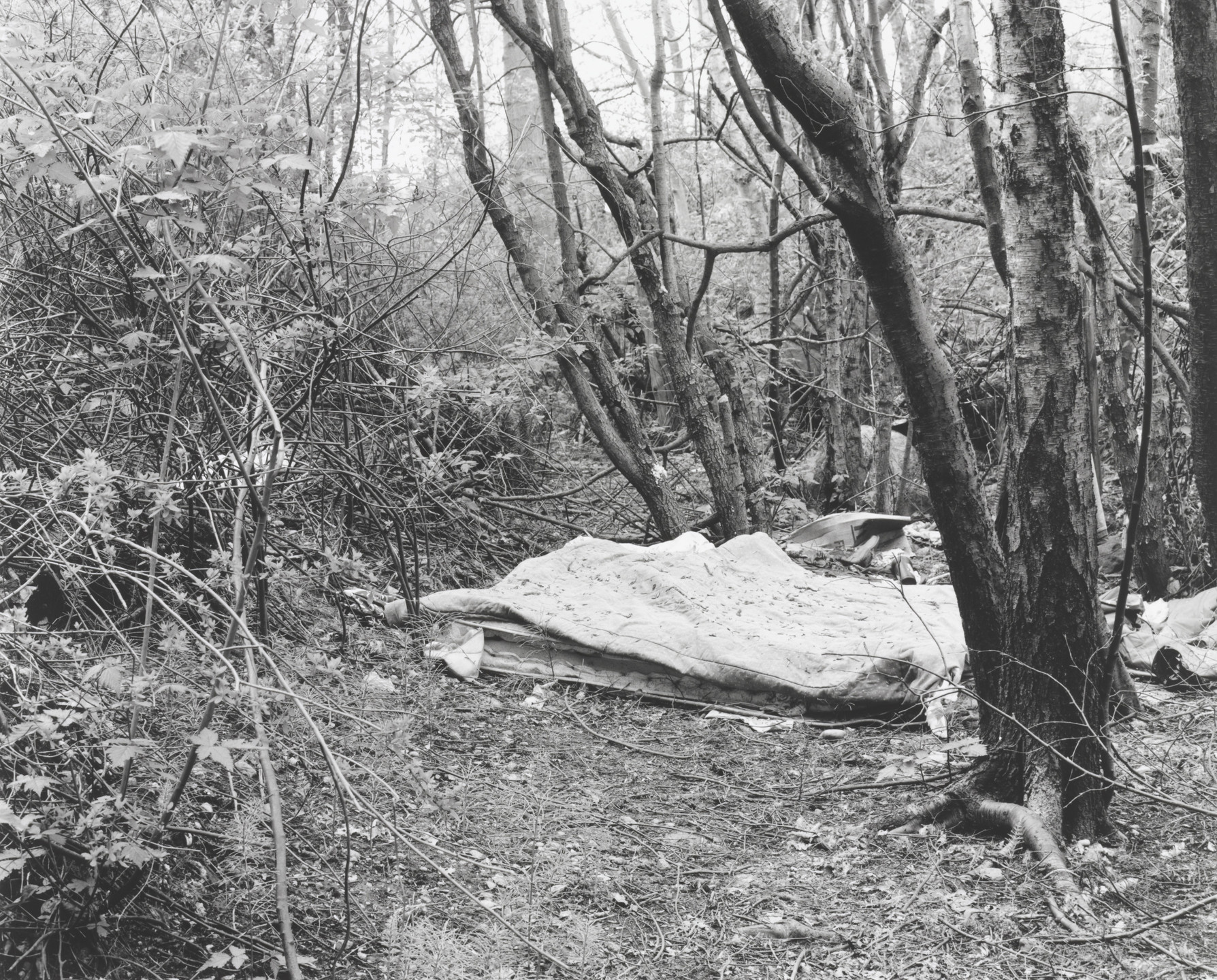 Roy Arden. Terminal City. 1999