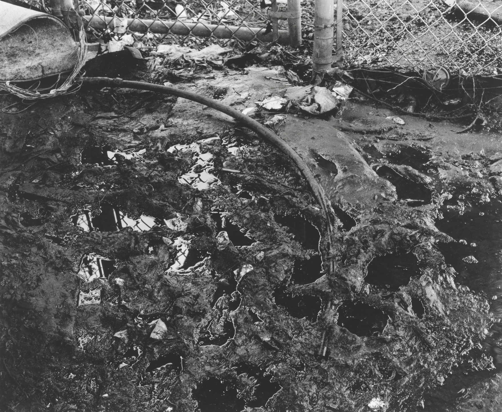 Roy Arden. Terminal City. 1999