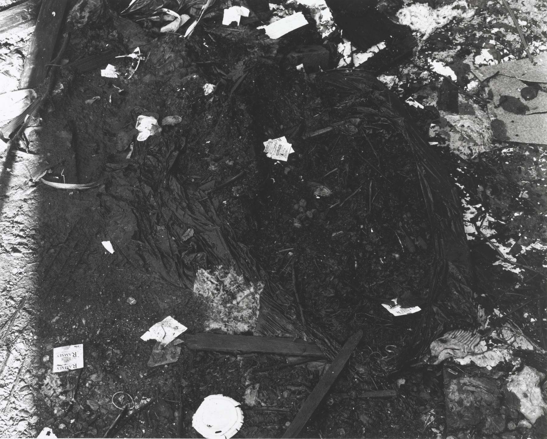 Roy Arden. Terminal City. 1999