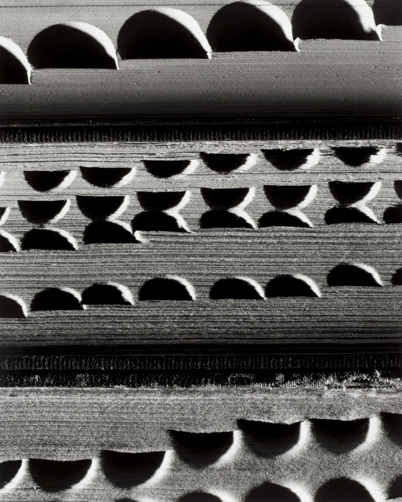 Three Dictionaries, Abelardo Morell, 2000