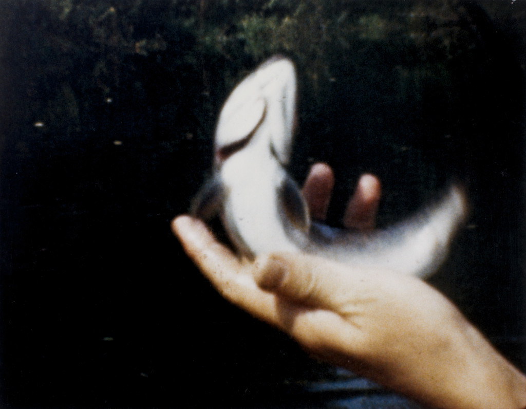 Film Still from the Sultan Family Home Movies, Larry Sultan, 1943-72
