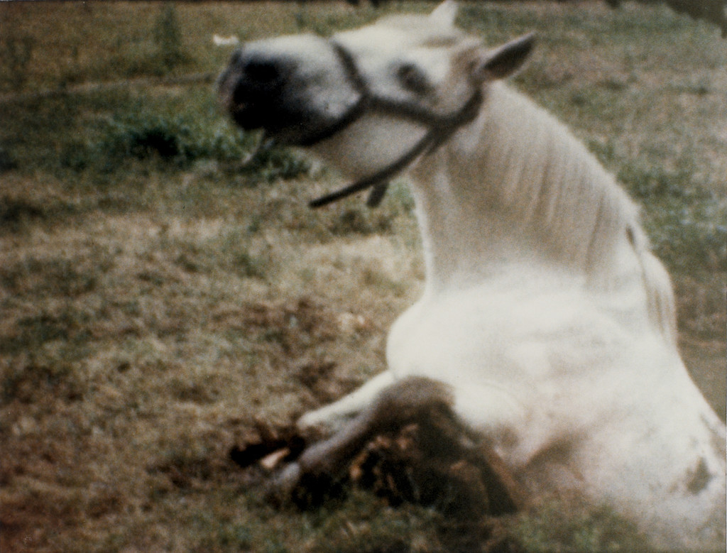 Film Still from the Sultan Family Home Movies