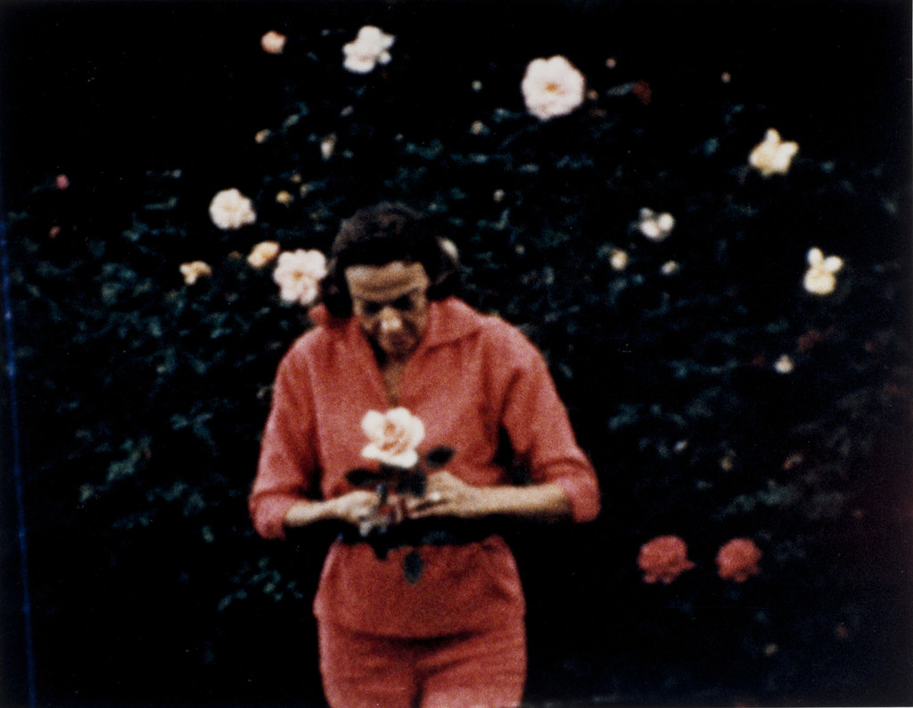 Film Still from the Sultan Family Home Movies