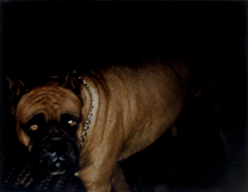 Film Still from the Sultan Family Home Movies