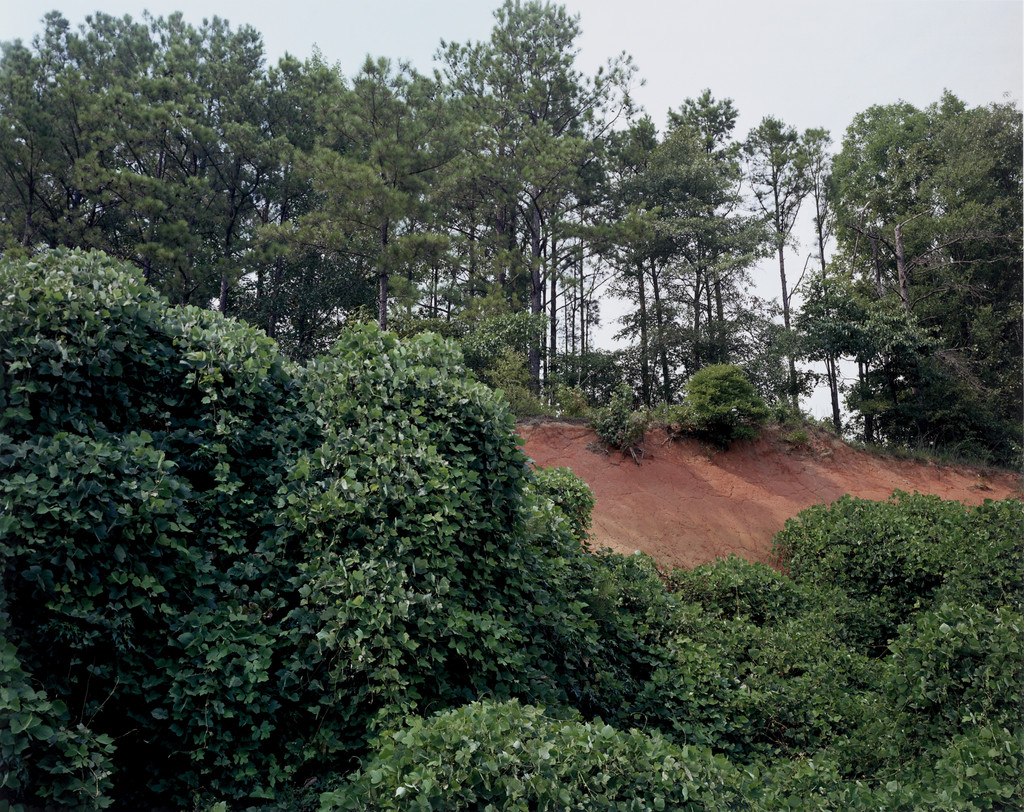 Red Soil and Kudzu, near Moundville, Alabama