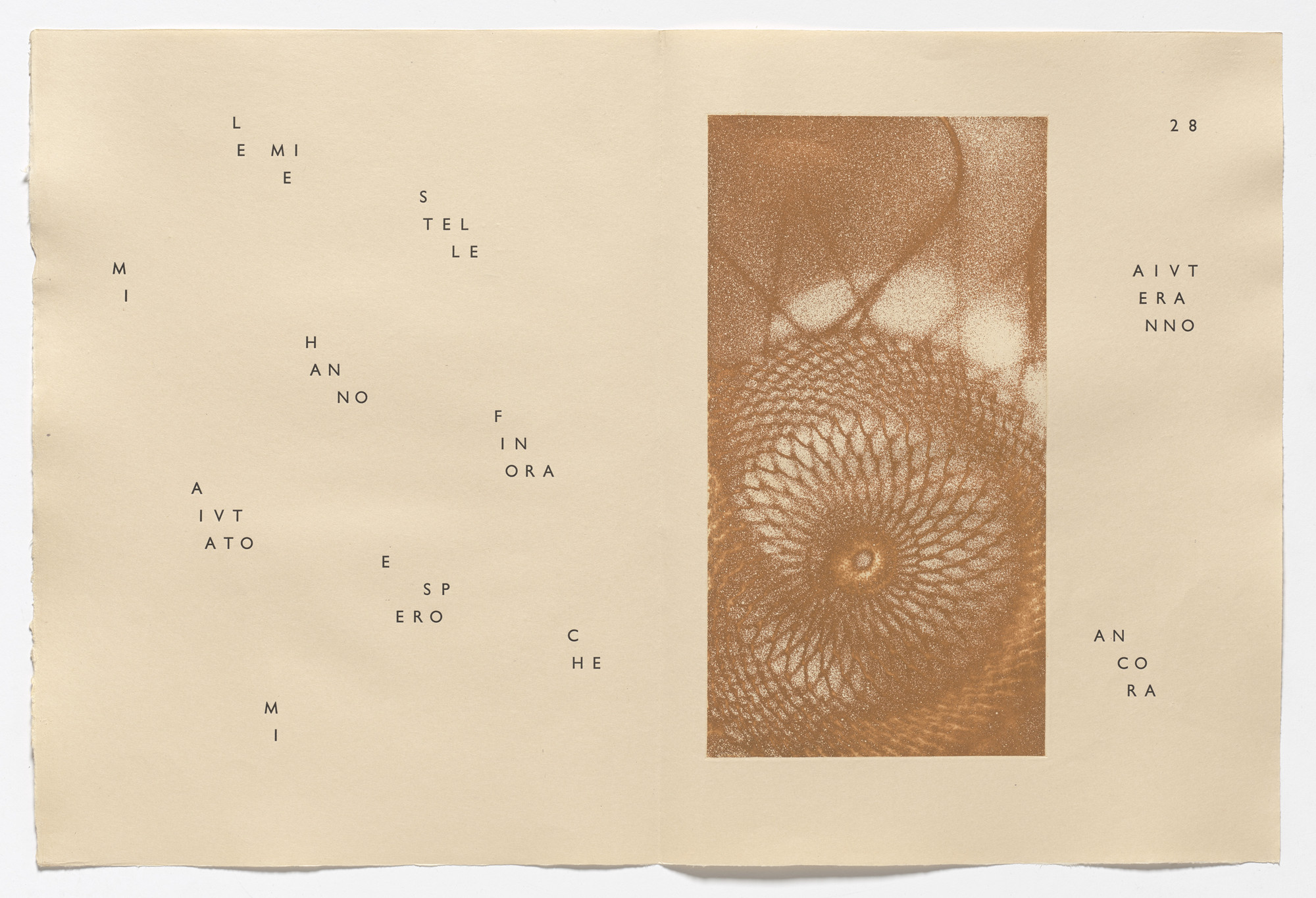 Max Ernst. In-text plate (page 28) from 65 Maximiliana ou l'exercice illégal de l'astronomie. 1964