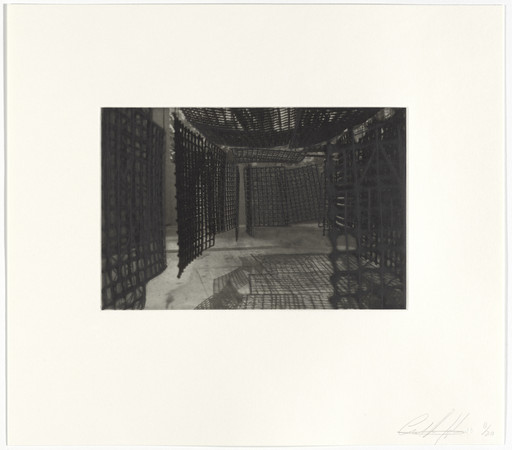 Untitled from Hanging Corridors