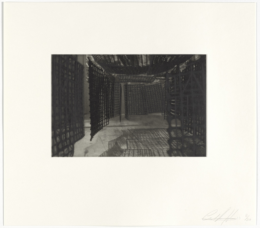 Untitled from Hanging Corridors