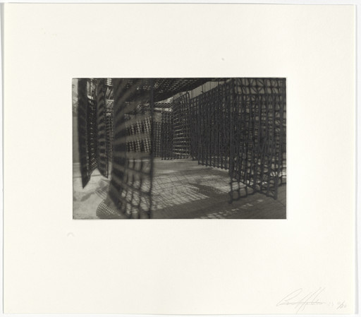 Untitled from Hanging Corridors