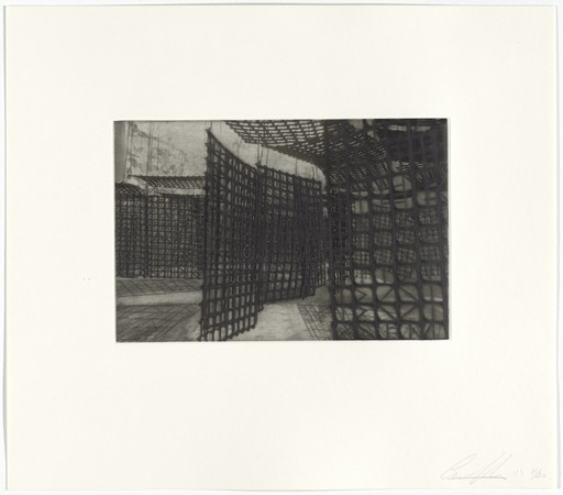 Untitled from Hanging Corridors