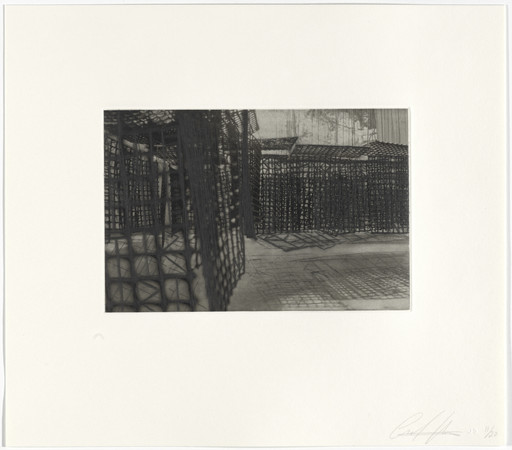 Untitled from Hanging Corridors