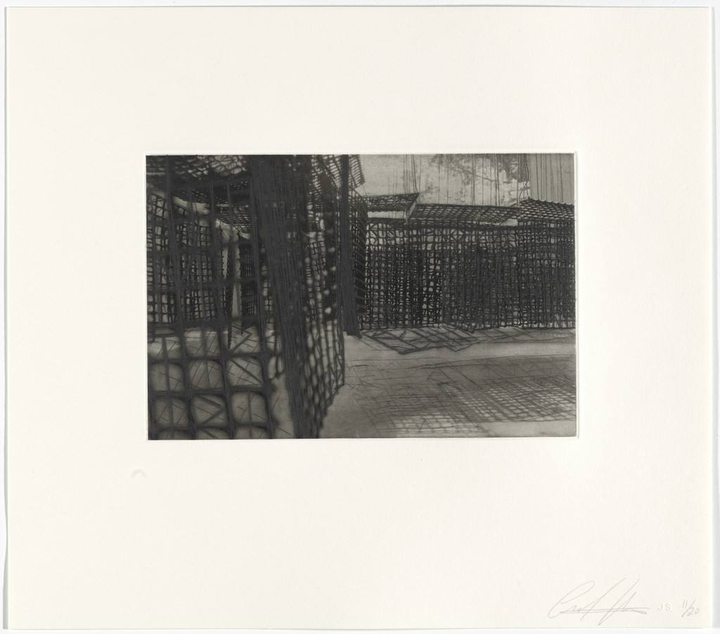 Untitled from Hanging Corridors