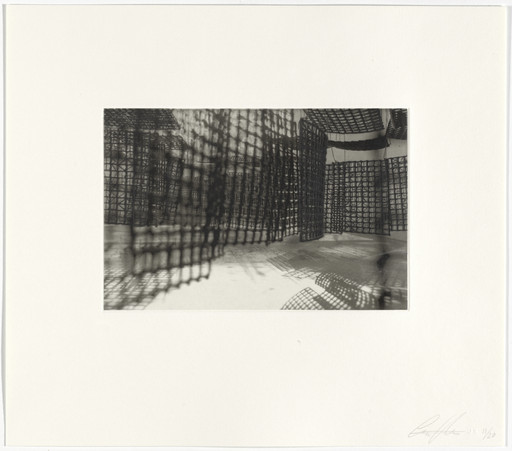 Untitled from Hanging Corridors