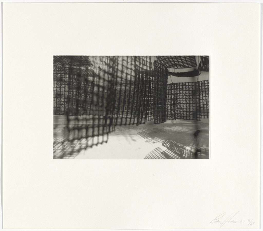 Untitled from Hanging Corridors