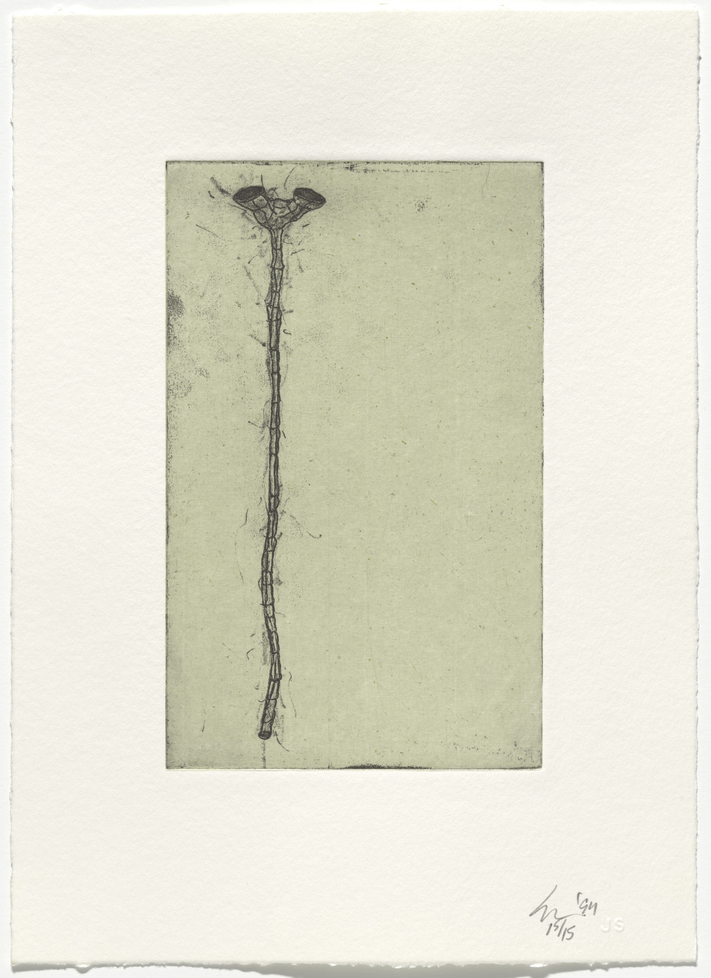 Peter Shelton. Untitled from The Eighth Day