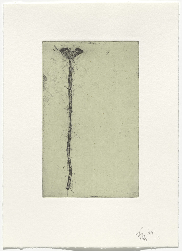 Untitled from The Eighth Day