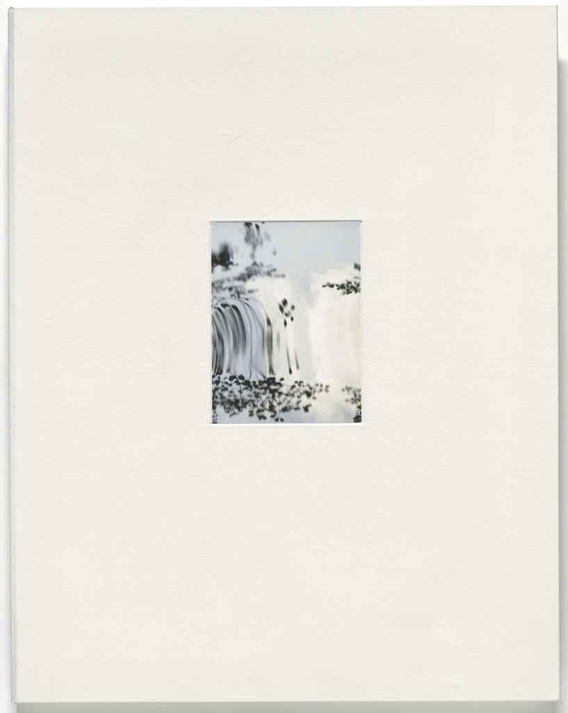 Pisueña, Juan Uslé, 2009