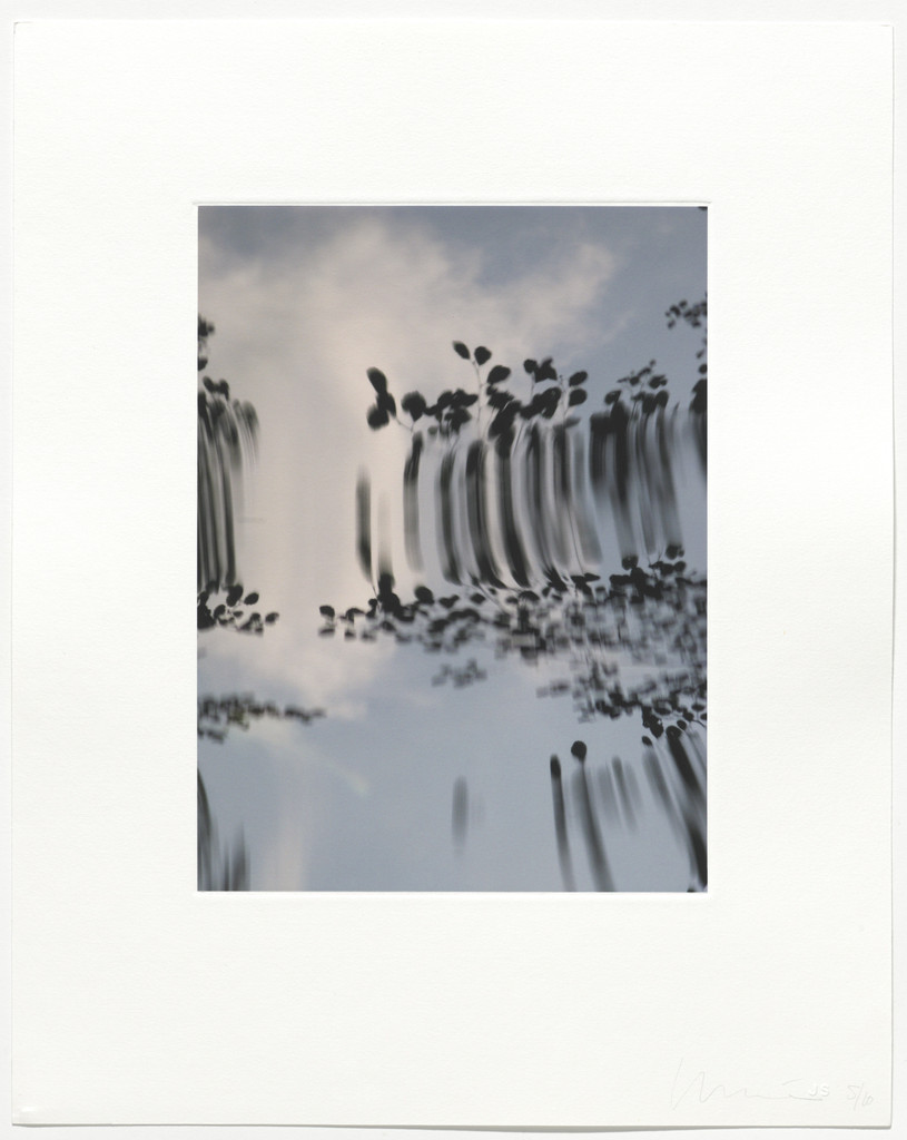 Untitled from Pisueña