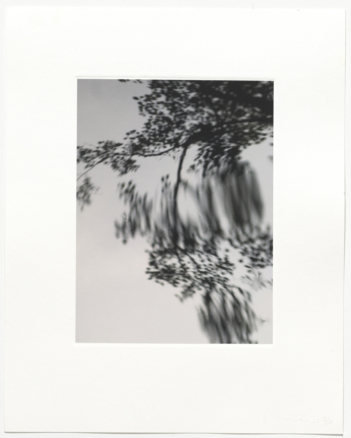 Juan Uslé. Untitled from Pisueña. 2009