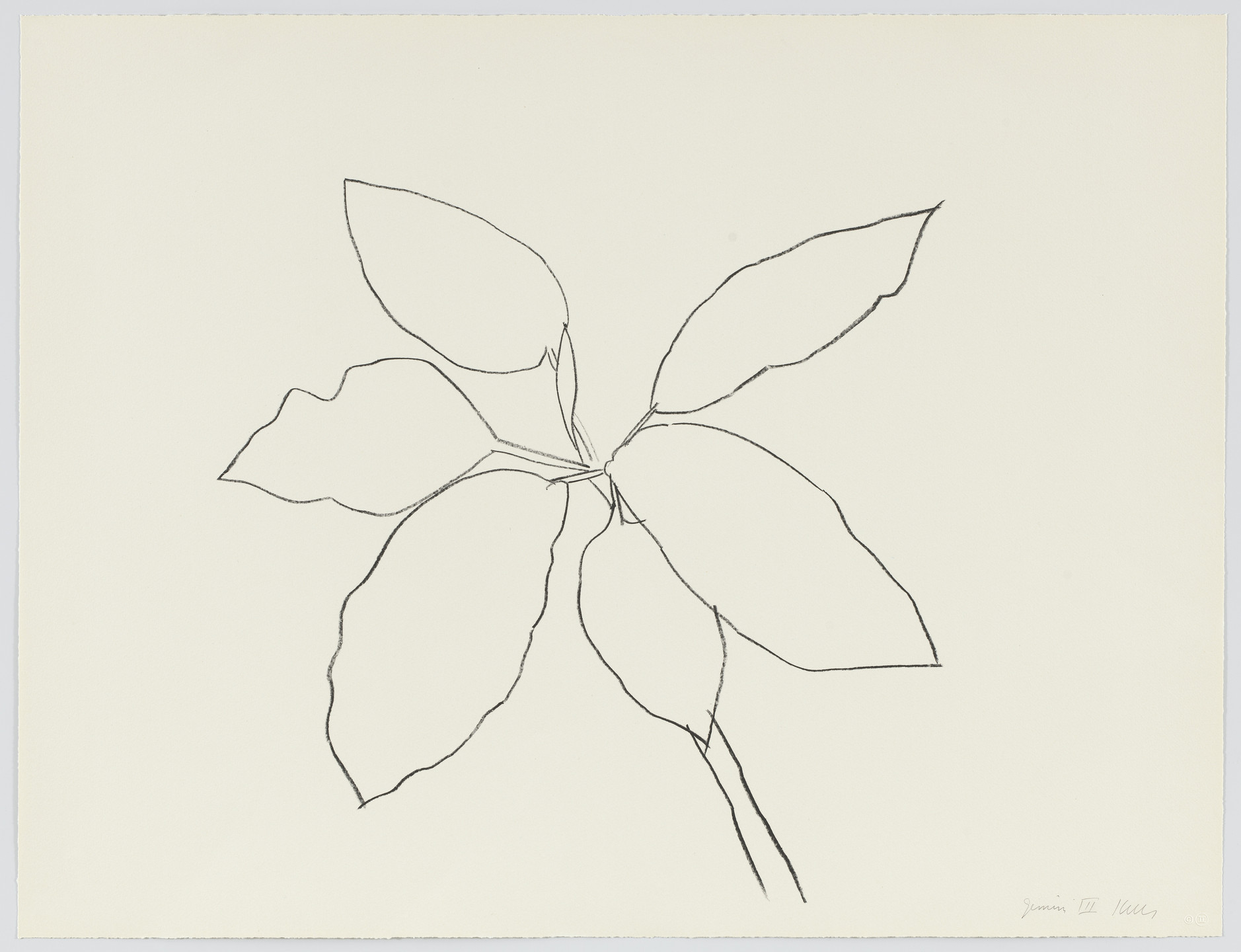 Ellsworth Kelly. Saint Martin Tropical Plant from Eight Lithographs to Benefit the Foundation for Contemporary Performance Arts, Inc.. 1981–82