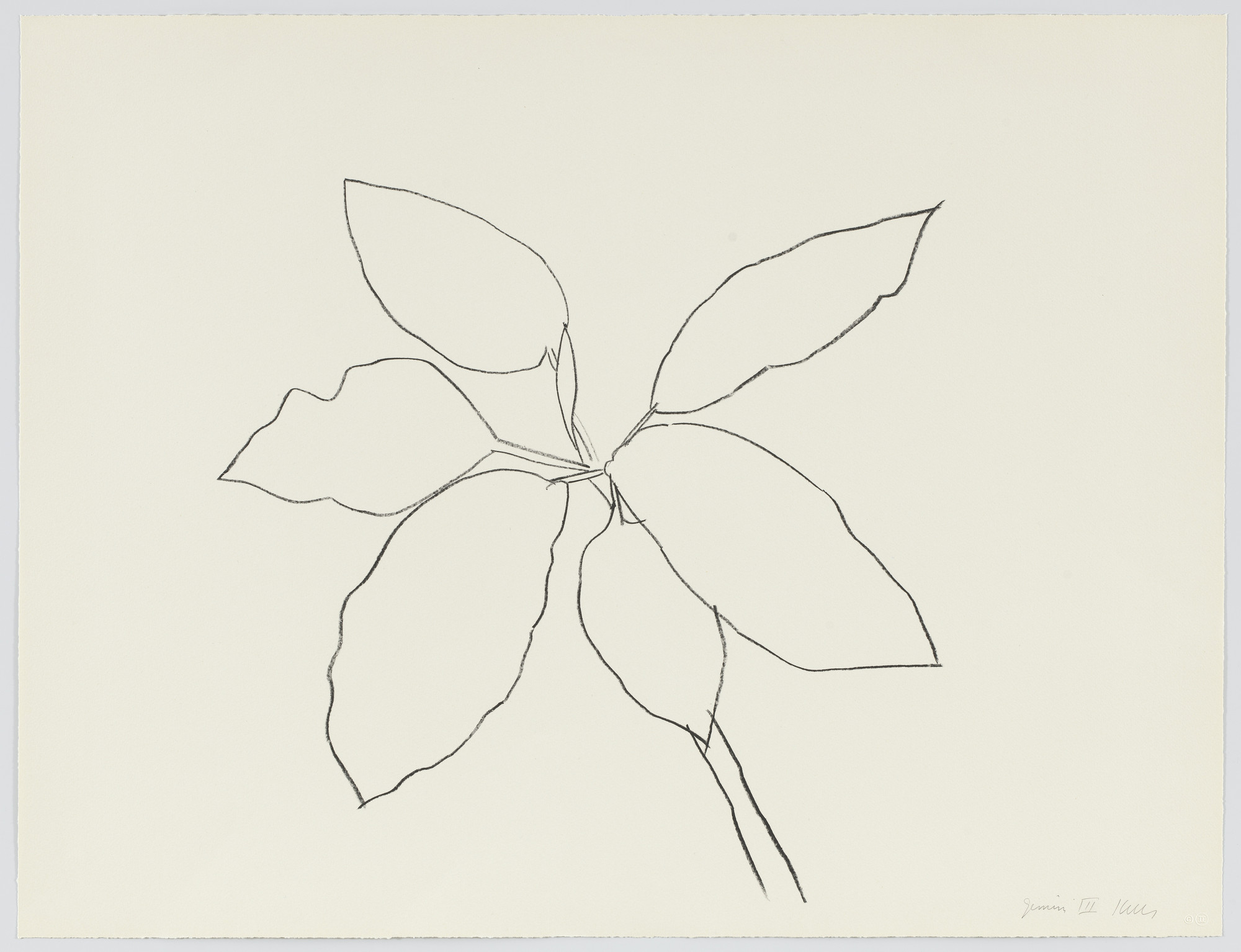 Ellsworth Kelly. Saint Martin Tropical Plant from Eight