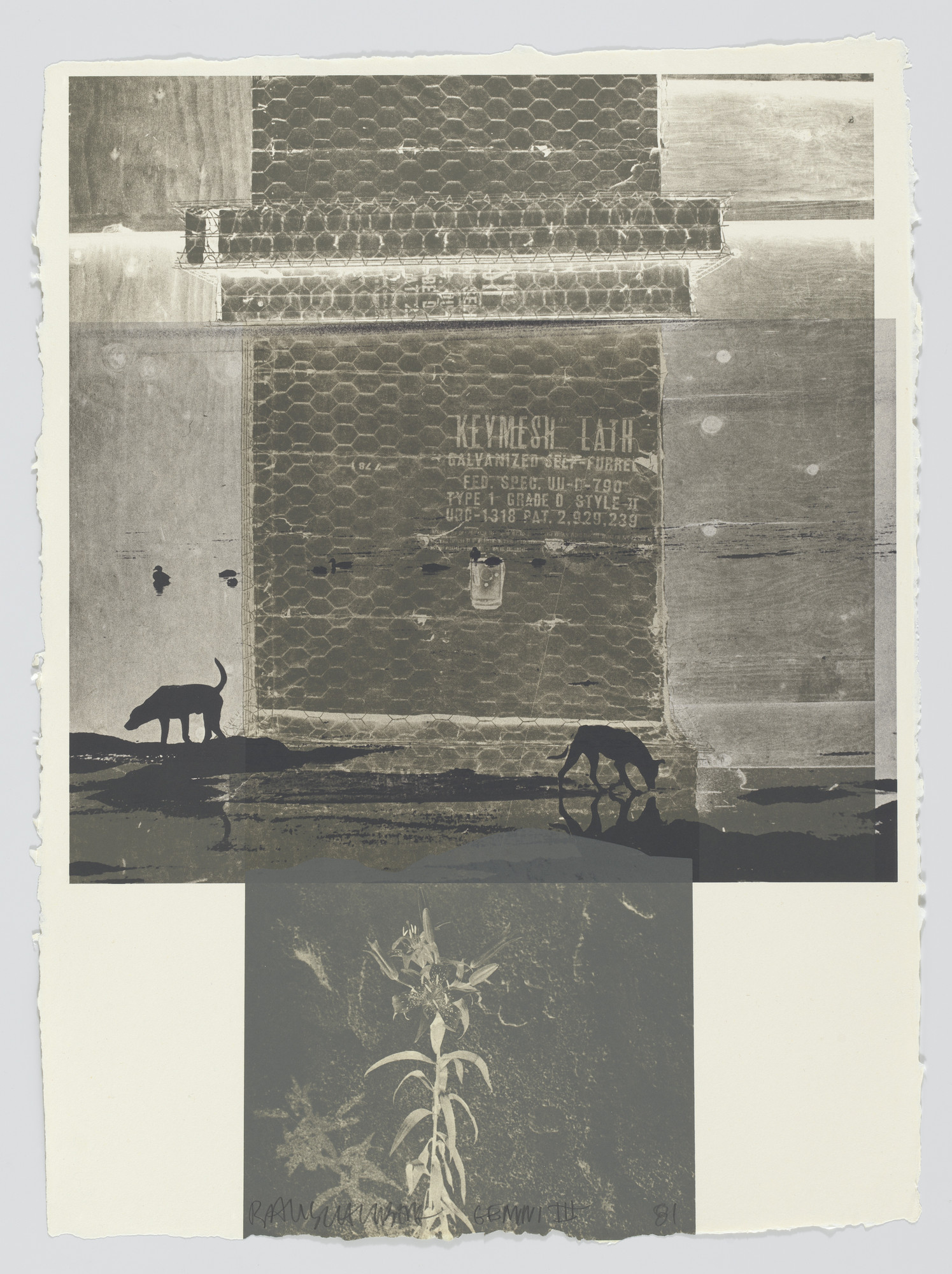 Robert Rauschenberg. Lily Scent from Eight Lithographs to Benefit the Foundation for Contemporary Performance Arts, Inc.