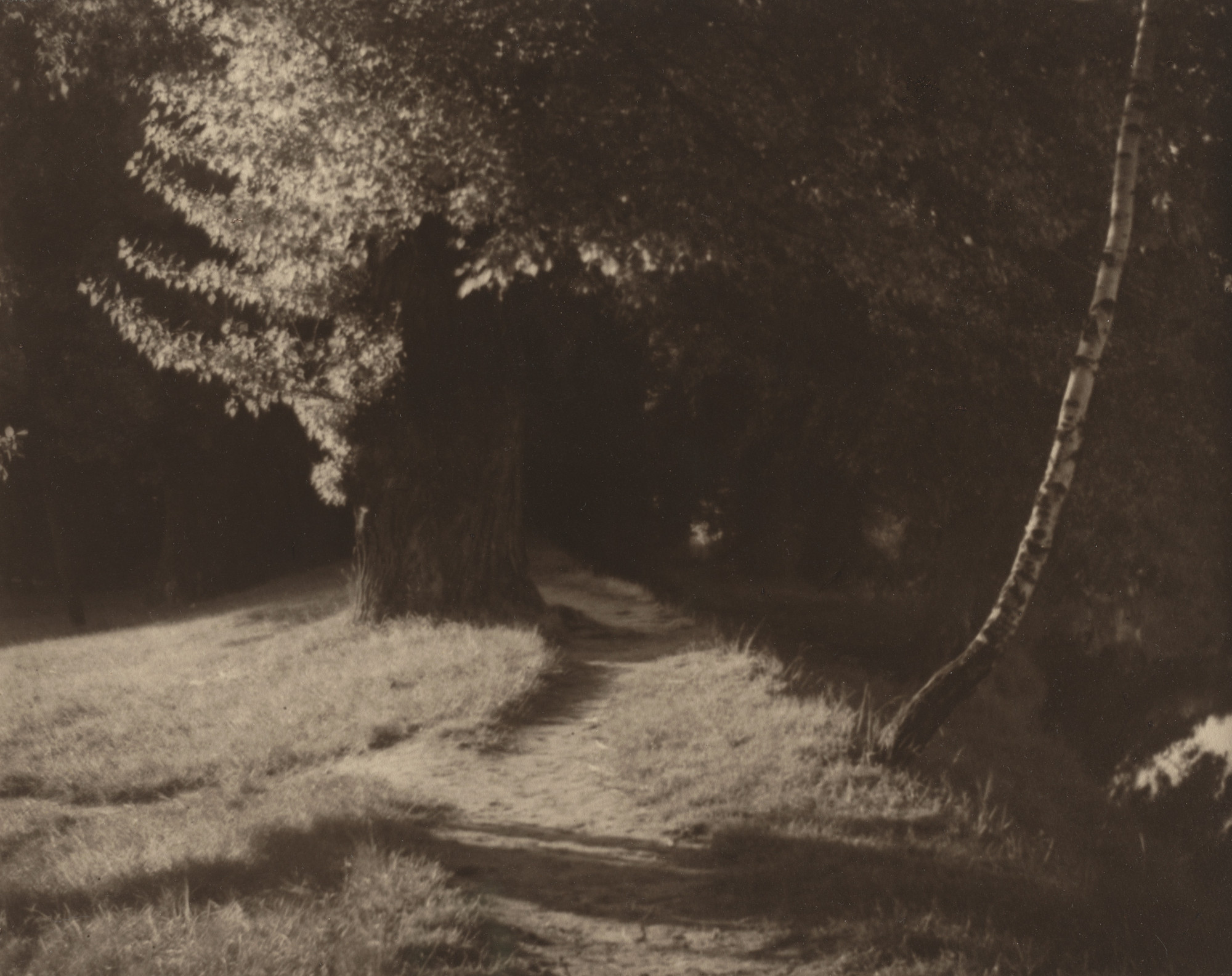 アート・デザイン・音楽 Josef Sudek Josef Sudek, Untitled, 1954 · SFMOMA