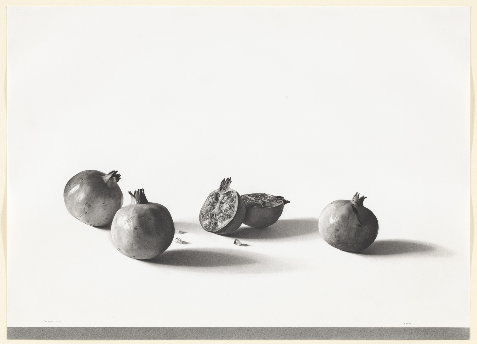 Gerardo Pita. Pomegranates. (July 1978)