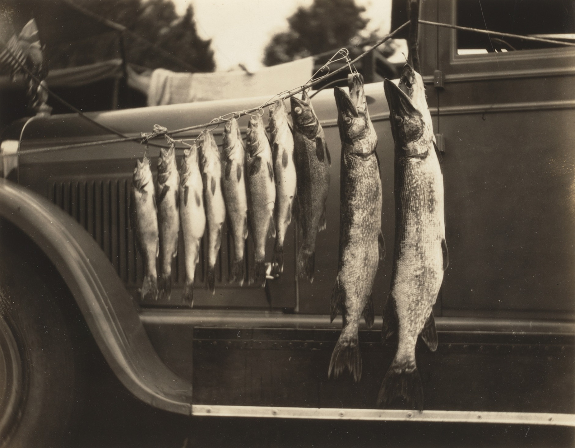 Unidentified photographer. Untitled. c. 1930