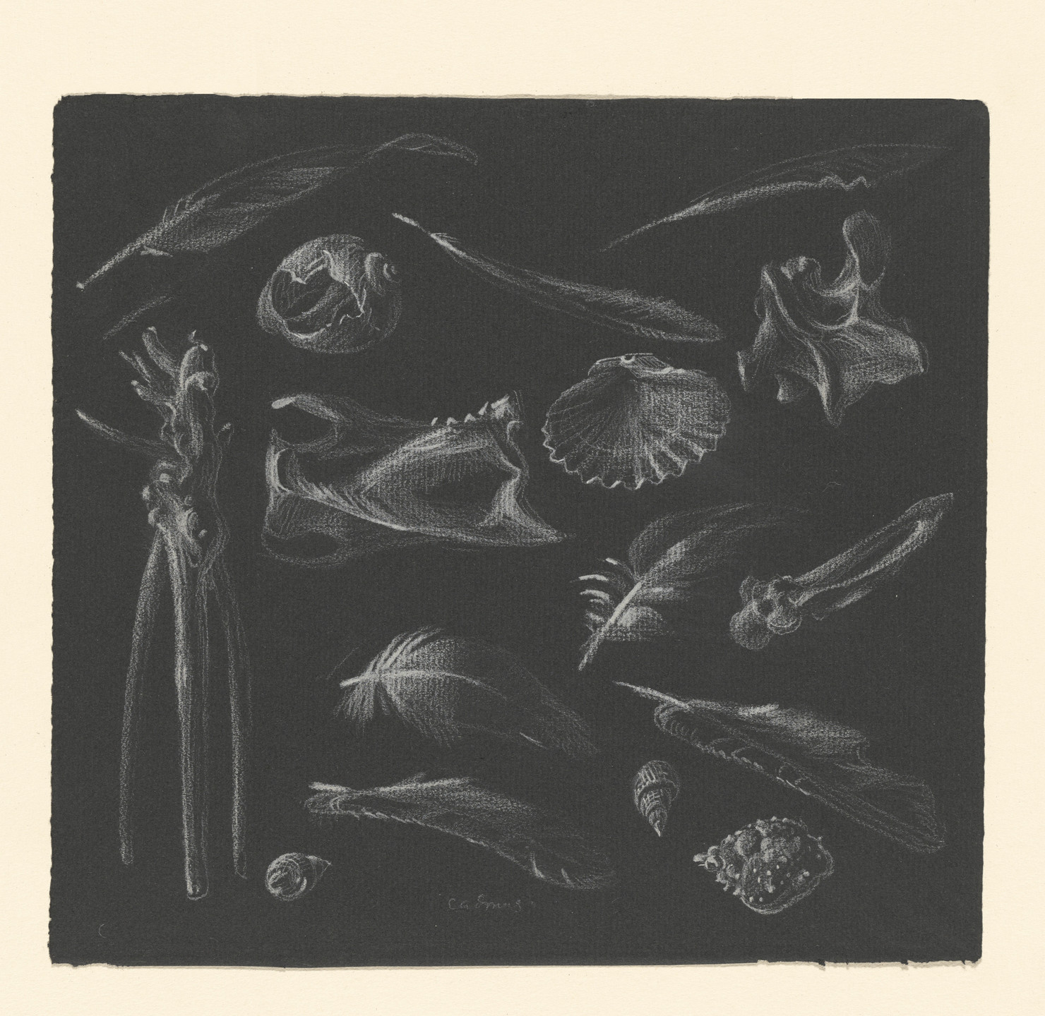 Paul Cadmus. Feathers, Shells, and Bones. 1946