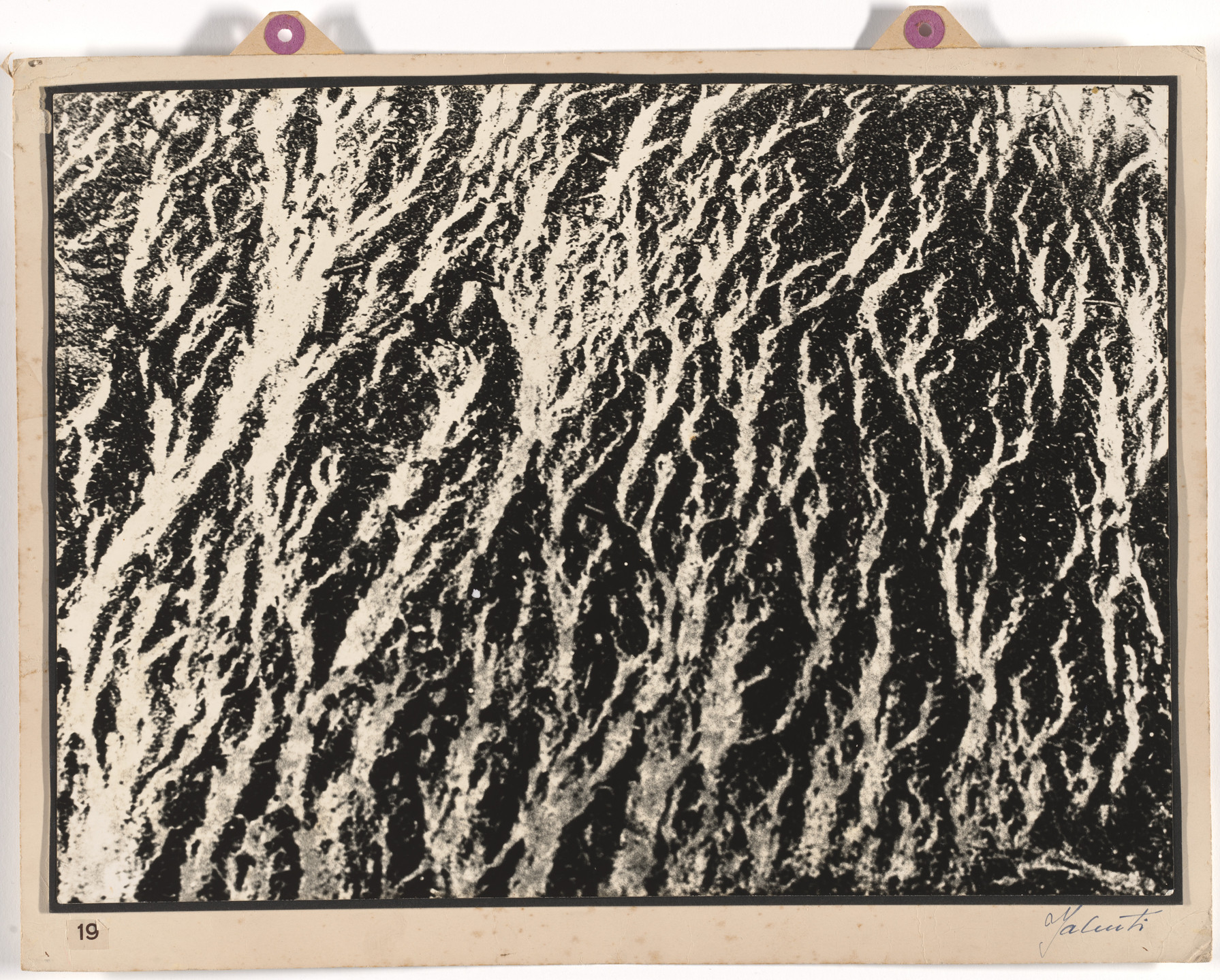 José Yalenti. Sand (Areia). c. 1950