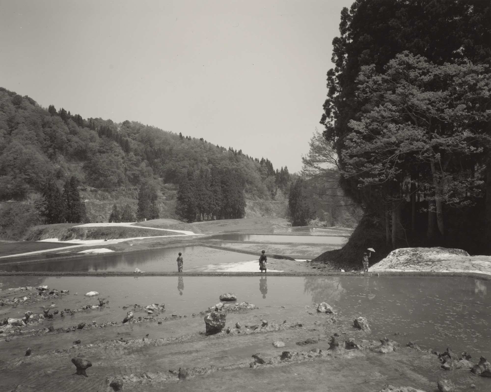 Rong Rong, inri. Tsumari Story No. 6-19