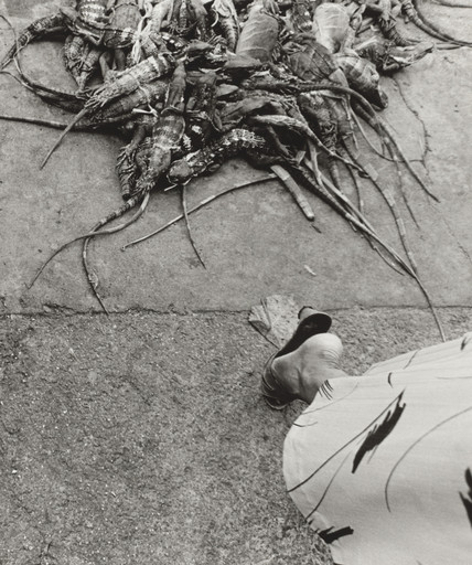 Graciela Iturbide. Iguanas, Juchitán. 1984 | MoMA