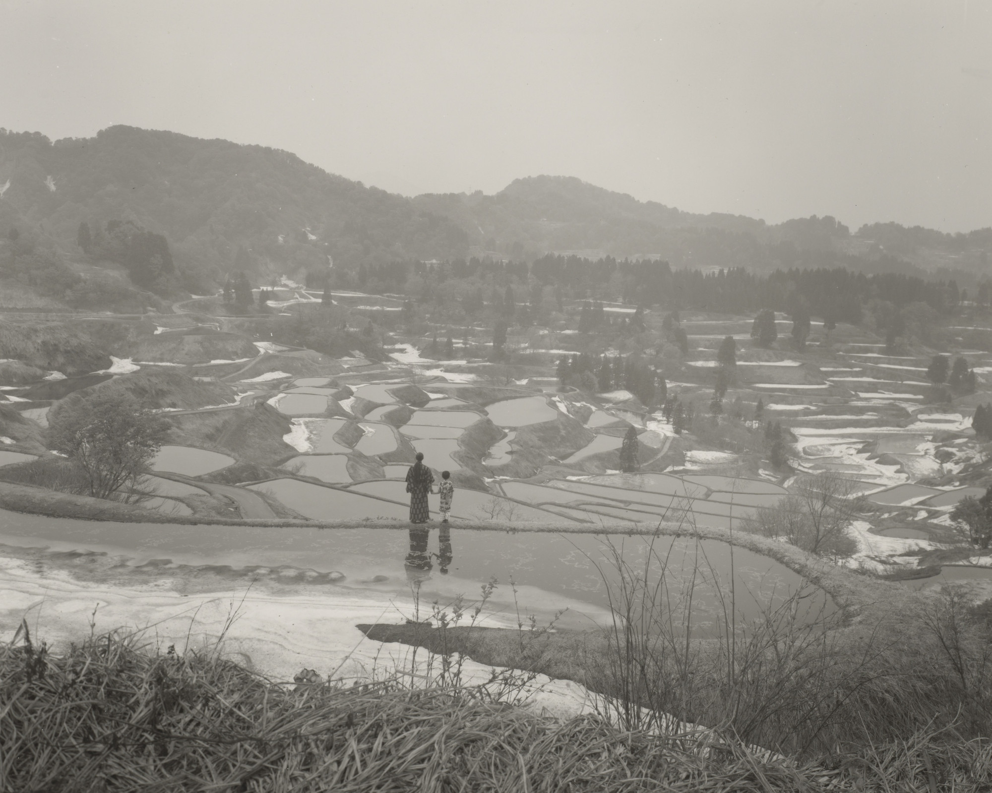 Rong Rong, inri. Untitled from the series Tsumari Story. 2012 | MoMA