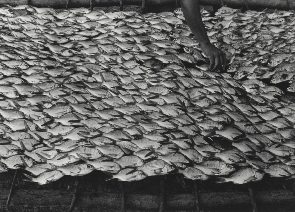 Pescaditos de Oaxaca, Mexico