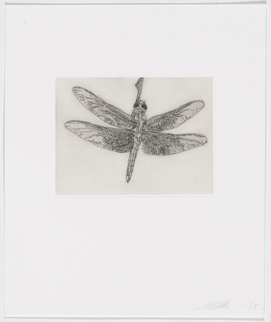 Untitled from Quiet Noise