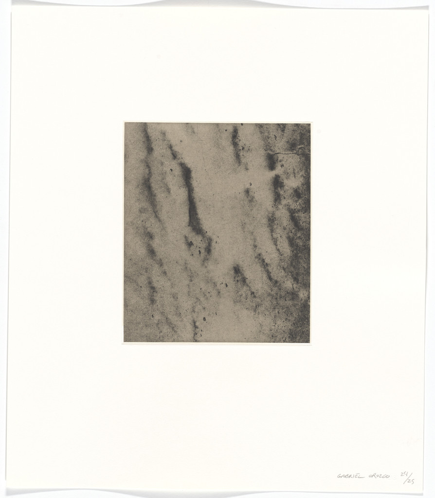 Untitled from Polvo Impreso (Lint Book)