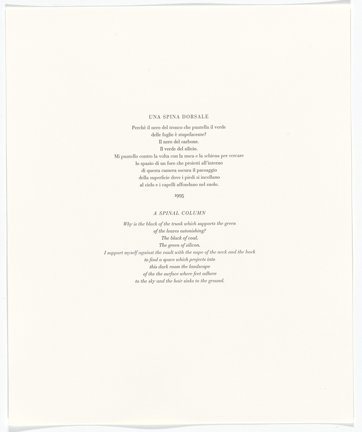 Giuseppe Penone. Untitled from Passi Sulle Cime Dei Gelsi. 2000