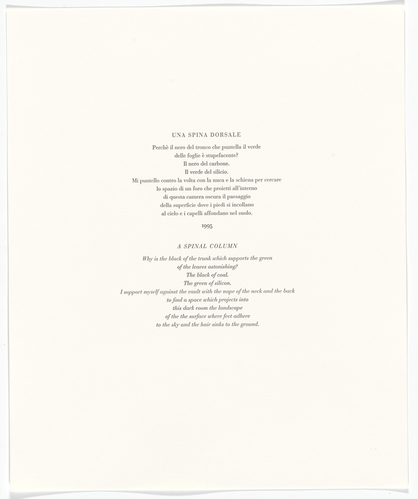 Untitled from Passi Sulle Cime Dei Gelsi (Footsteps on Mulberry Tree Tops) by Giuseppe Penone