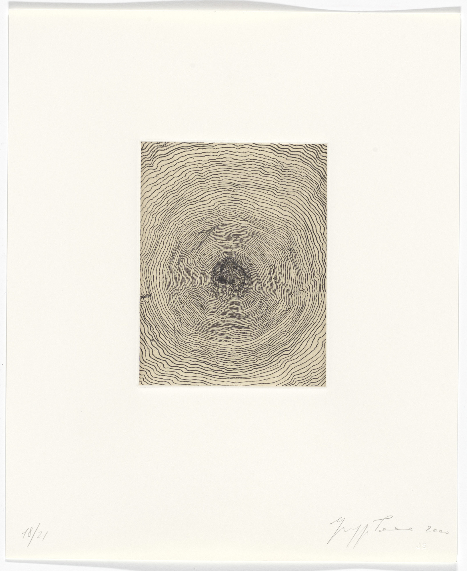 Giuseppe Penone. Untitled from Passi Sulle Cime Dei Gelsi (Footsteps on Mulberry Tree Tops)