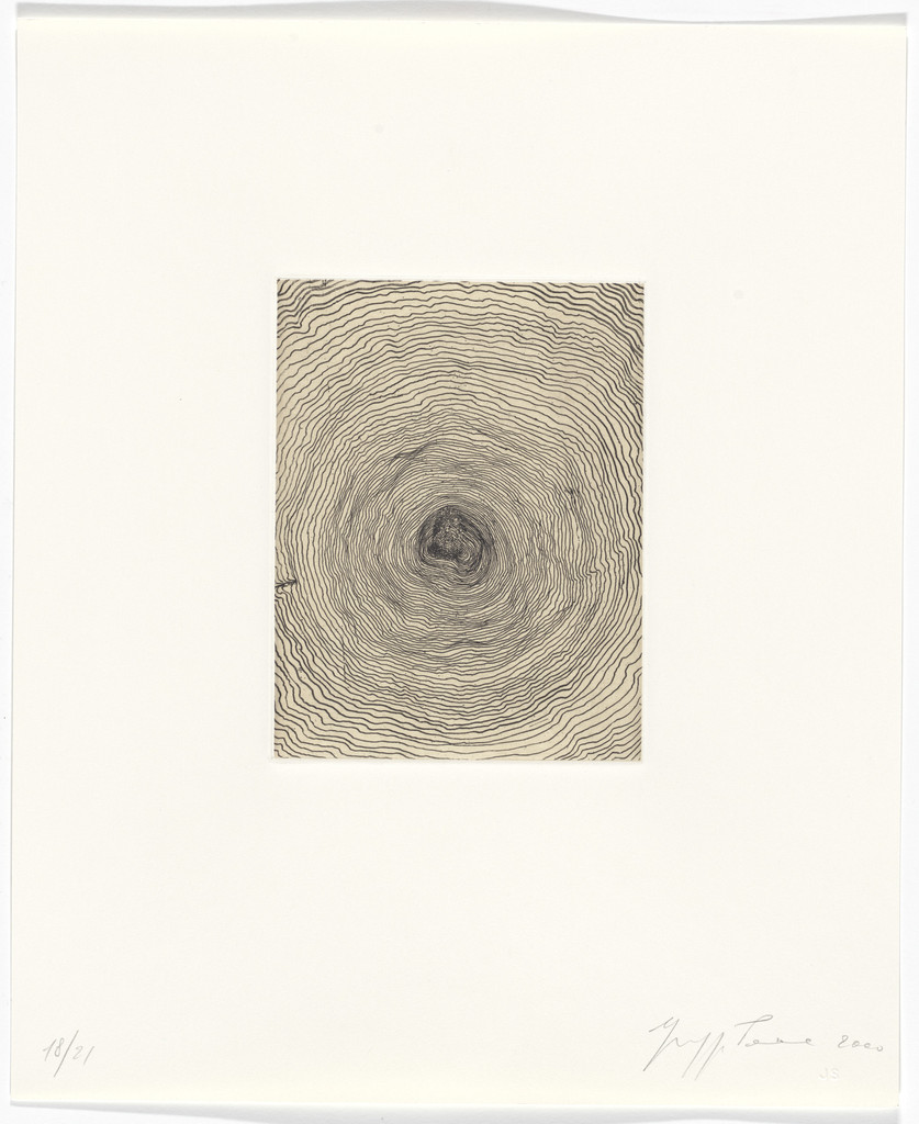 Untitled from Passi Sulle Cime Dei Gelsi (Footsteps on Mulberry Tree Tops)