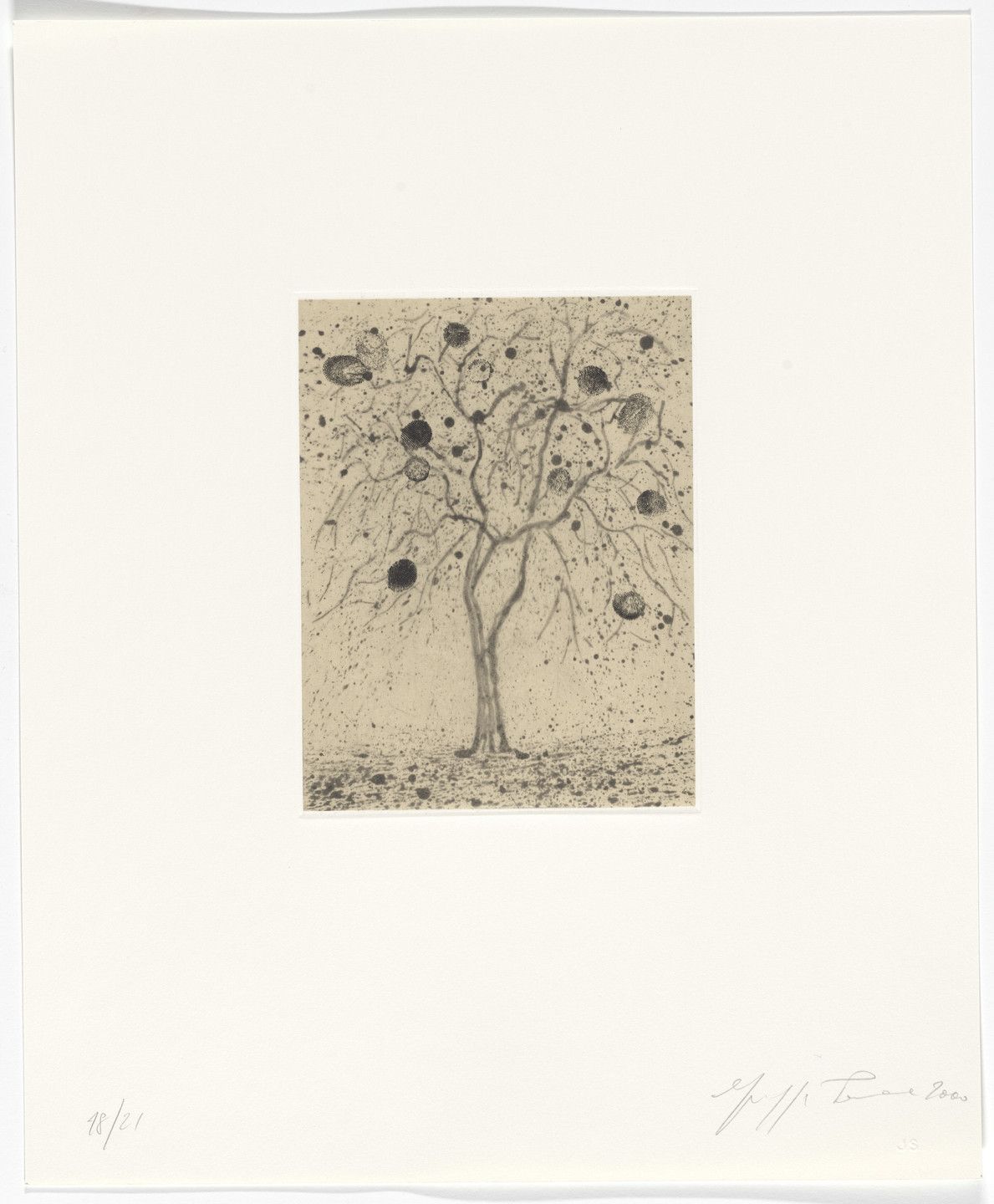 Giuseppe Penone. Untitled from Passi Sulle Cime Dei Gelsi. 2000